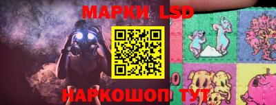 mdpv Заводоуковск
