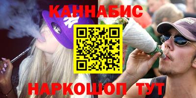 mdpv Заводоуковск