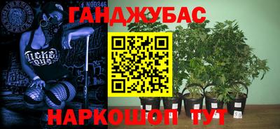 mdpv Заводоуковск