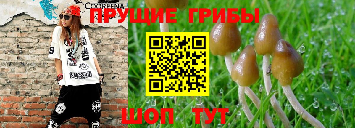 Галлюциногенные грибы прущие грибы  Вход с VPN  Губкинский 