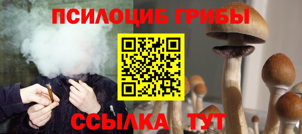 Галлюциногенные грибы MAGIC MUSHROOMS Губкинский